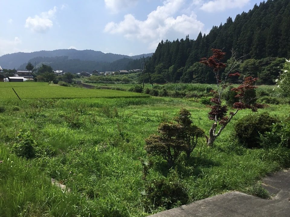 畑