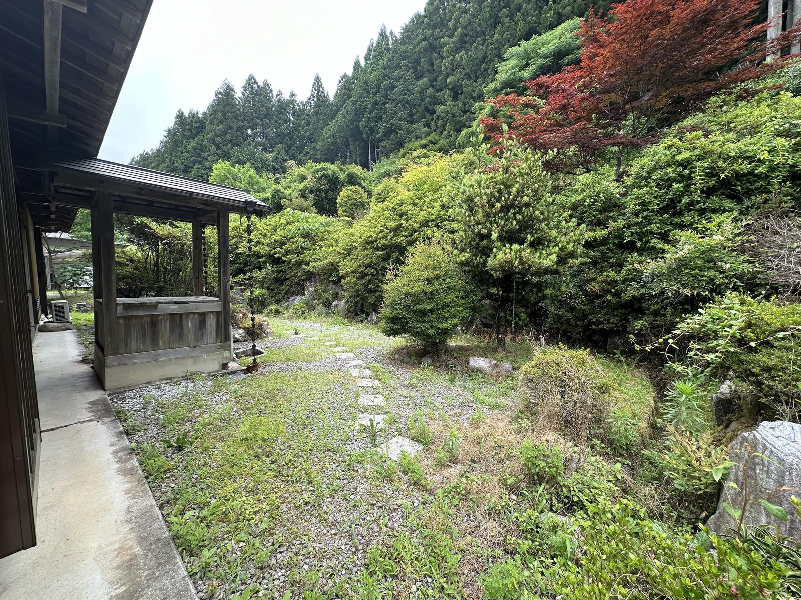庭