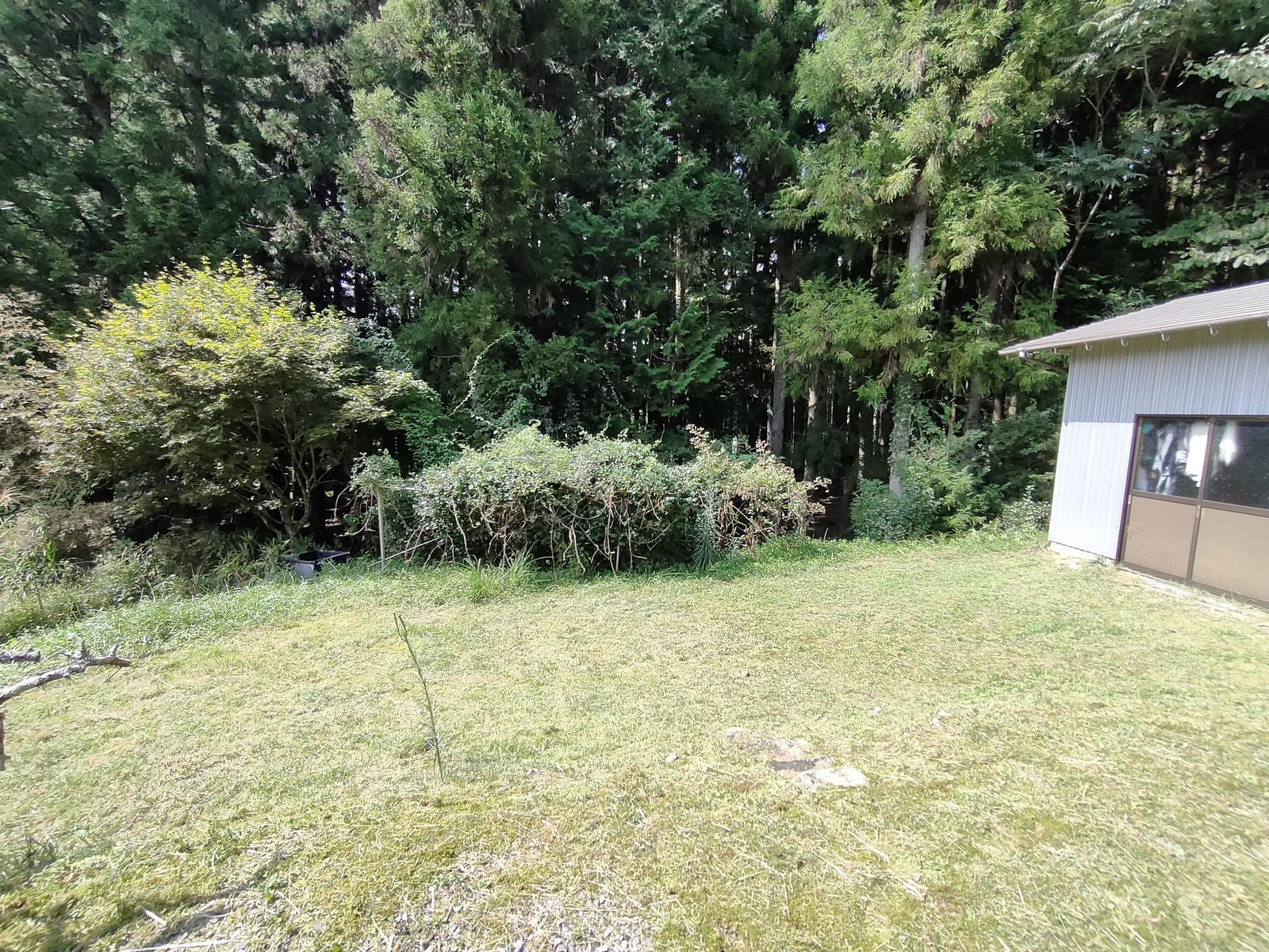 庭
