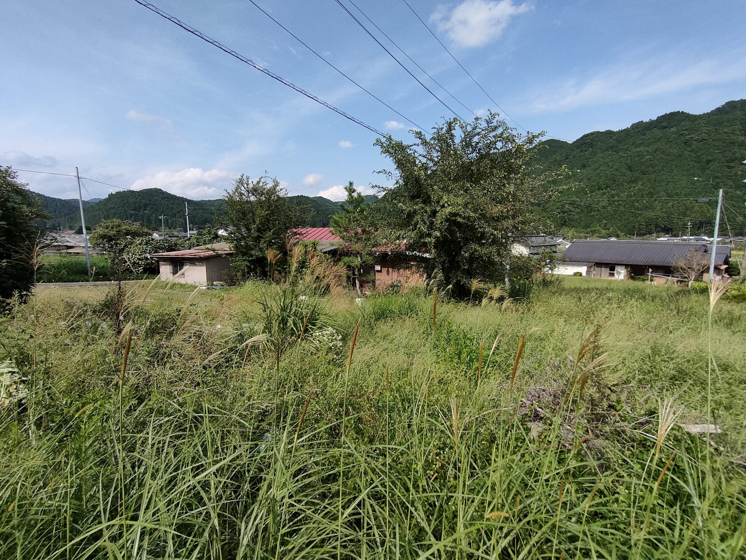 倉庫・畑付きのコンパクトな物件 畑
